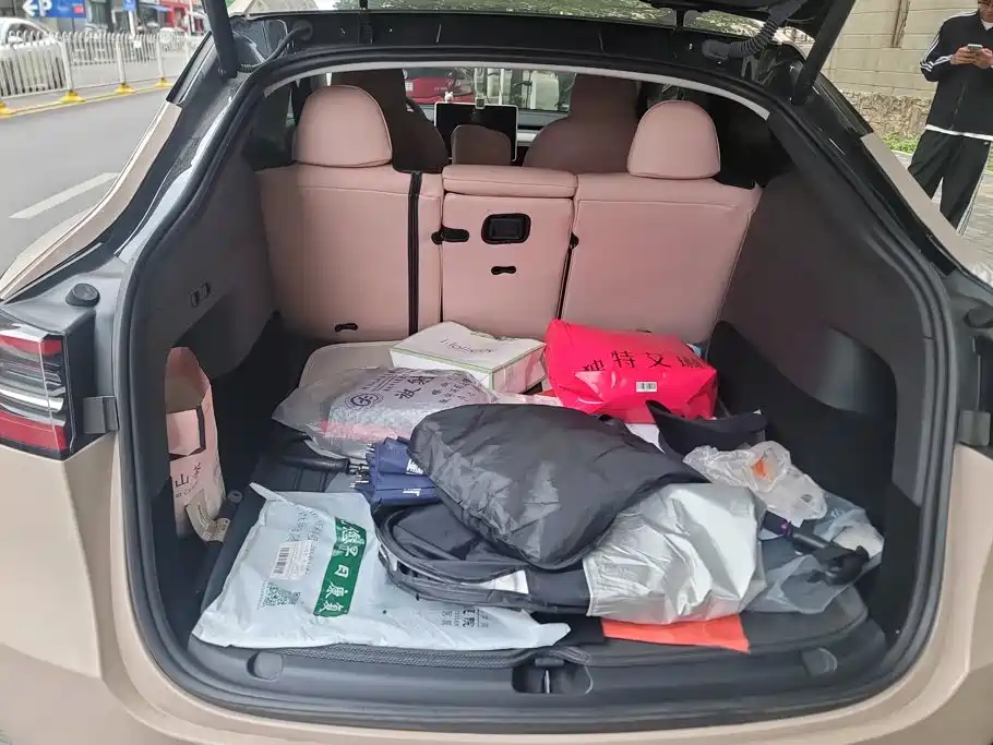 Tesla Model Y — миниатюра 4