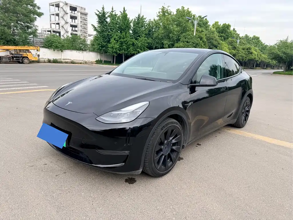 Tesla Model Y 2021 Standard Range RWD Edition