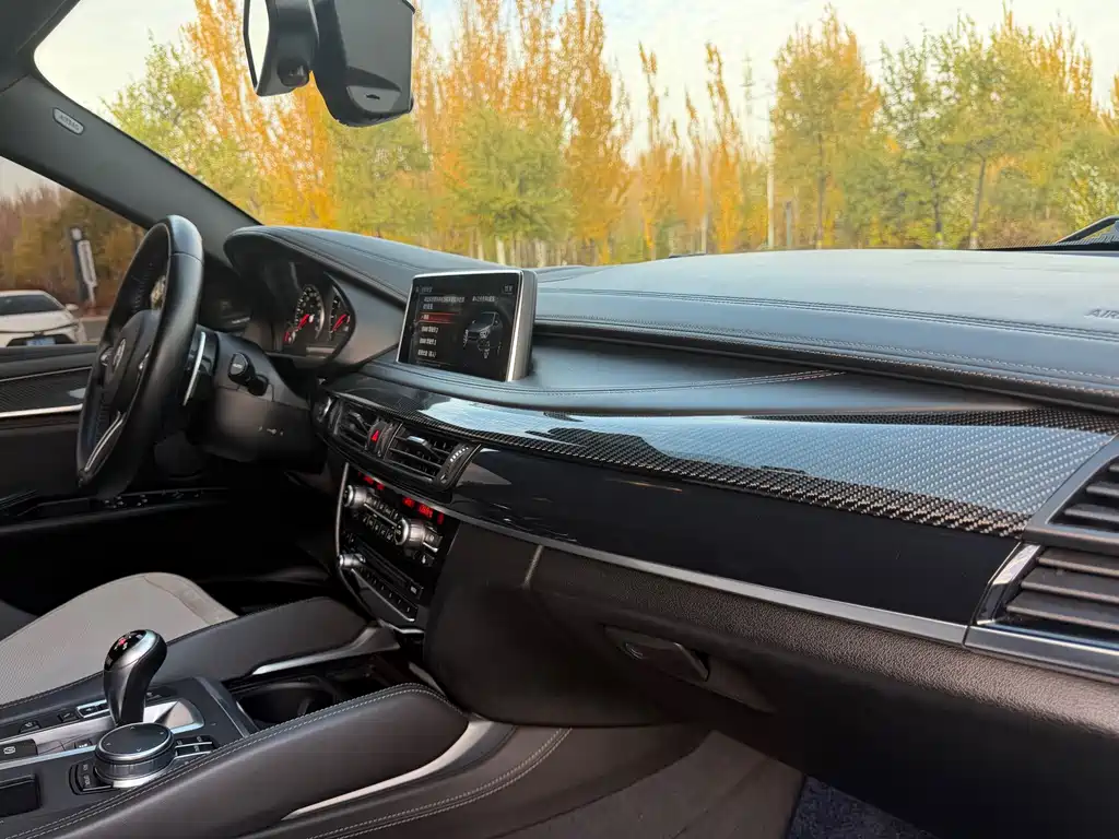 BMW X6 M — миниатюра 29
