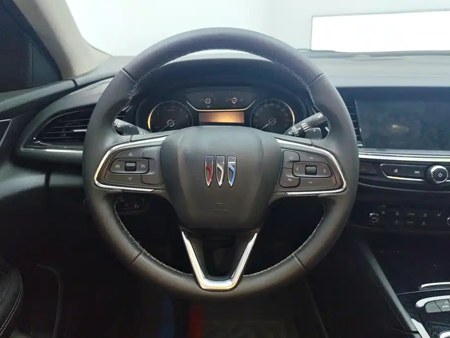 Buick Regal — миниатюра 15