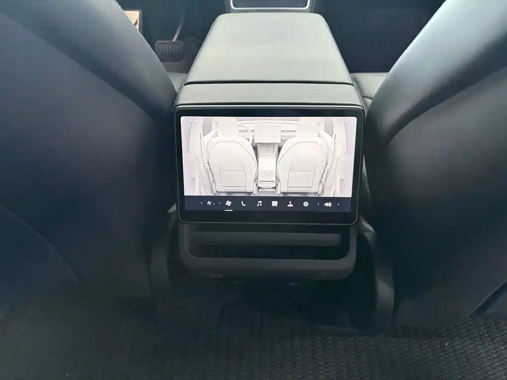 Tesla Model Y — миниатюра 16
