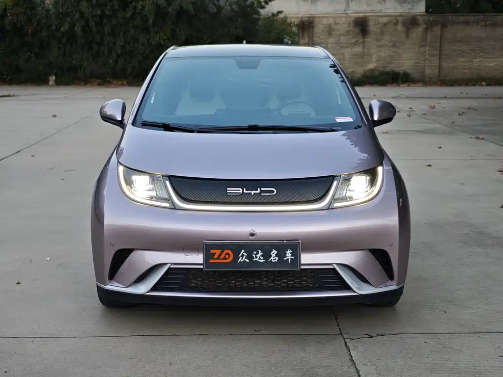 BYD Dolphin — миниатюра 2