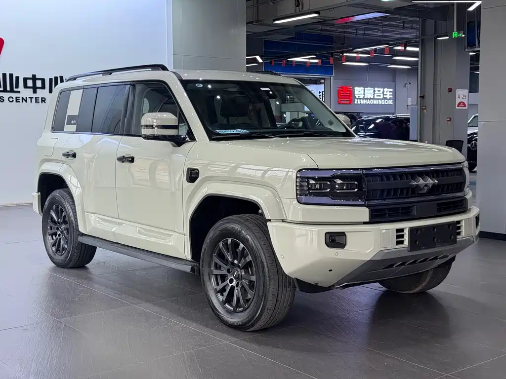 FANG CHENG BAO LEOPARD 5