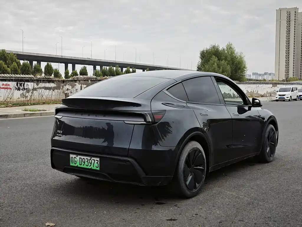 Tesla Model Y — миниатюра 9