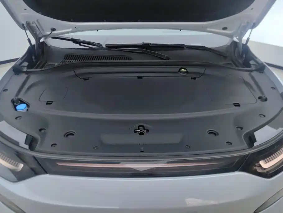 Leapmotor Leapmotor C11 — миниатюра 10