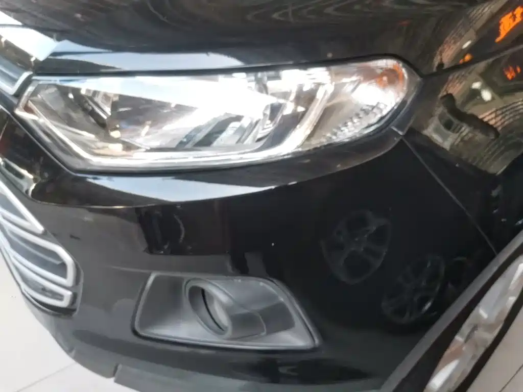 Ford Ecosport — миниатюра 24