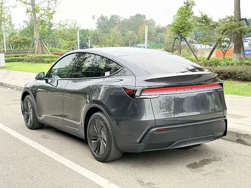 Tesla Model Y — миниатюра 8