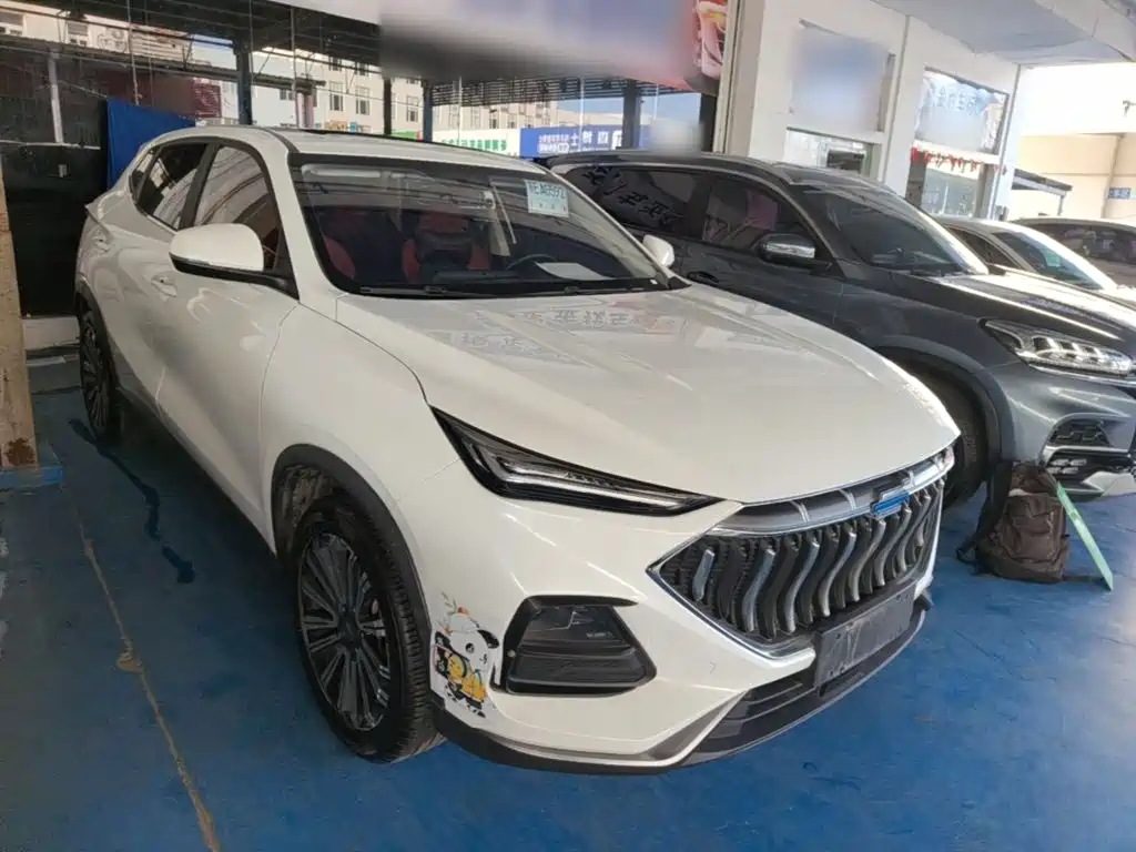 Oshan Oushang X5 — миниатюра 4