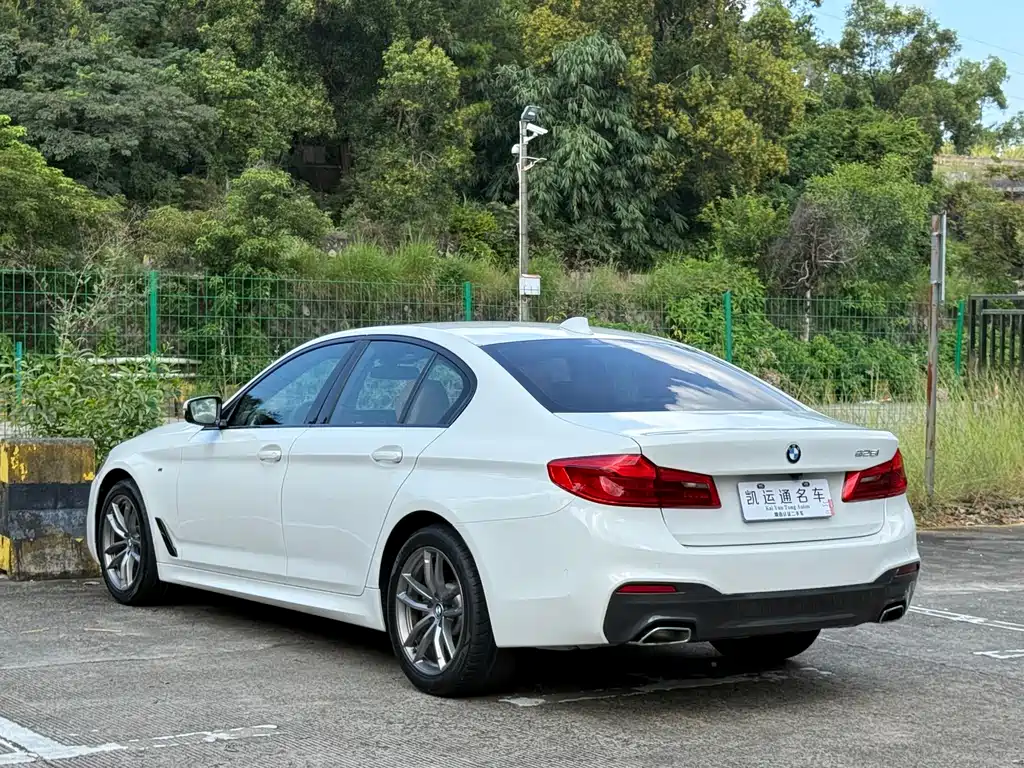 BMW 5 Series (Import) — миниатюра 10