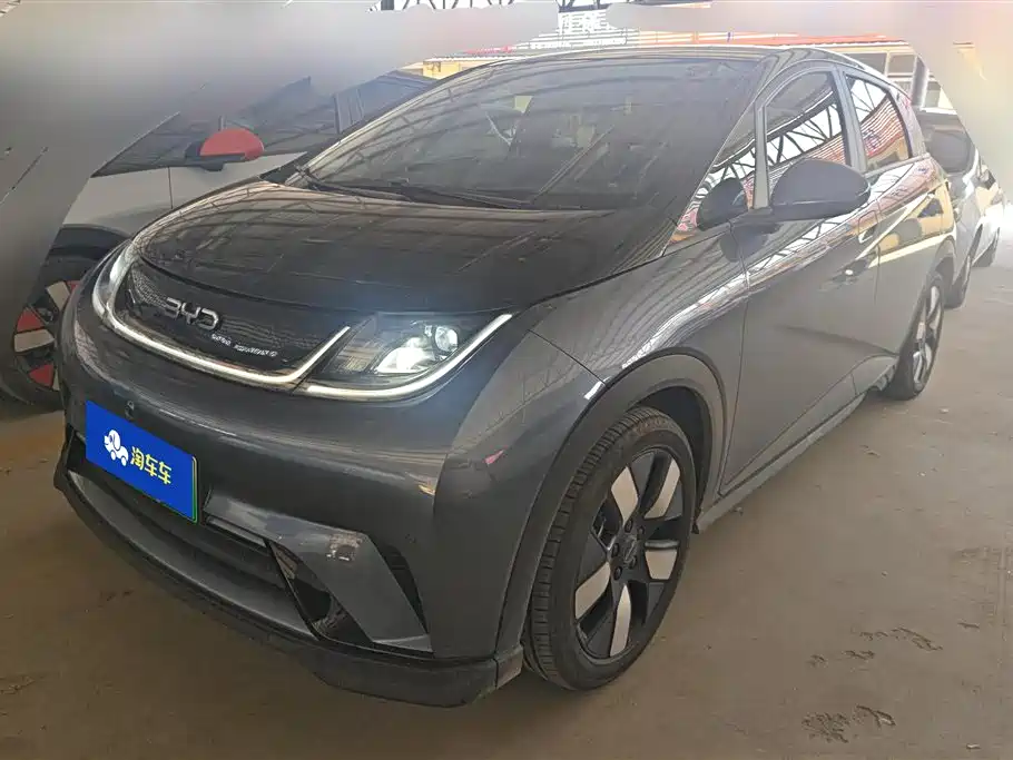 BYD Dolphin 2024 Glory Edition 401km Knight Edition