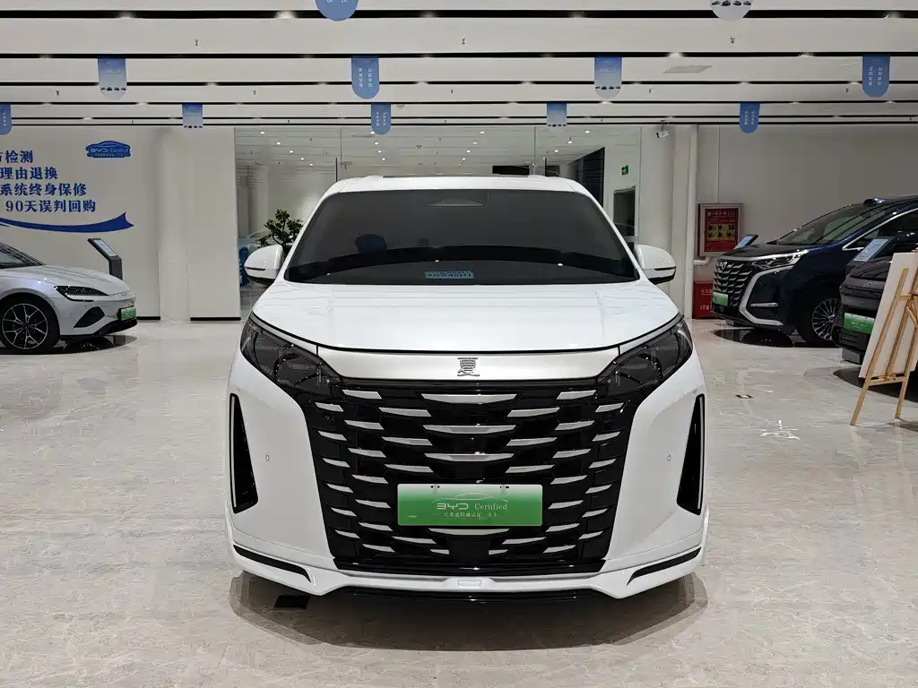 BYD Xia — миниатюра 2