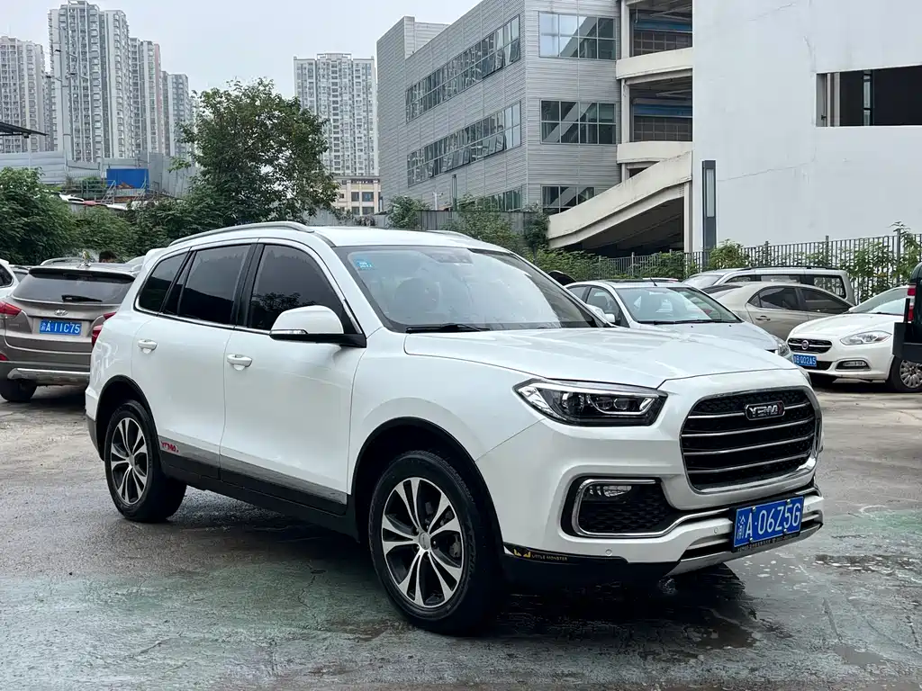 MUSTANG MOTORS MUSTANG T80