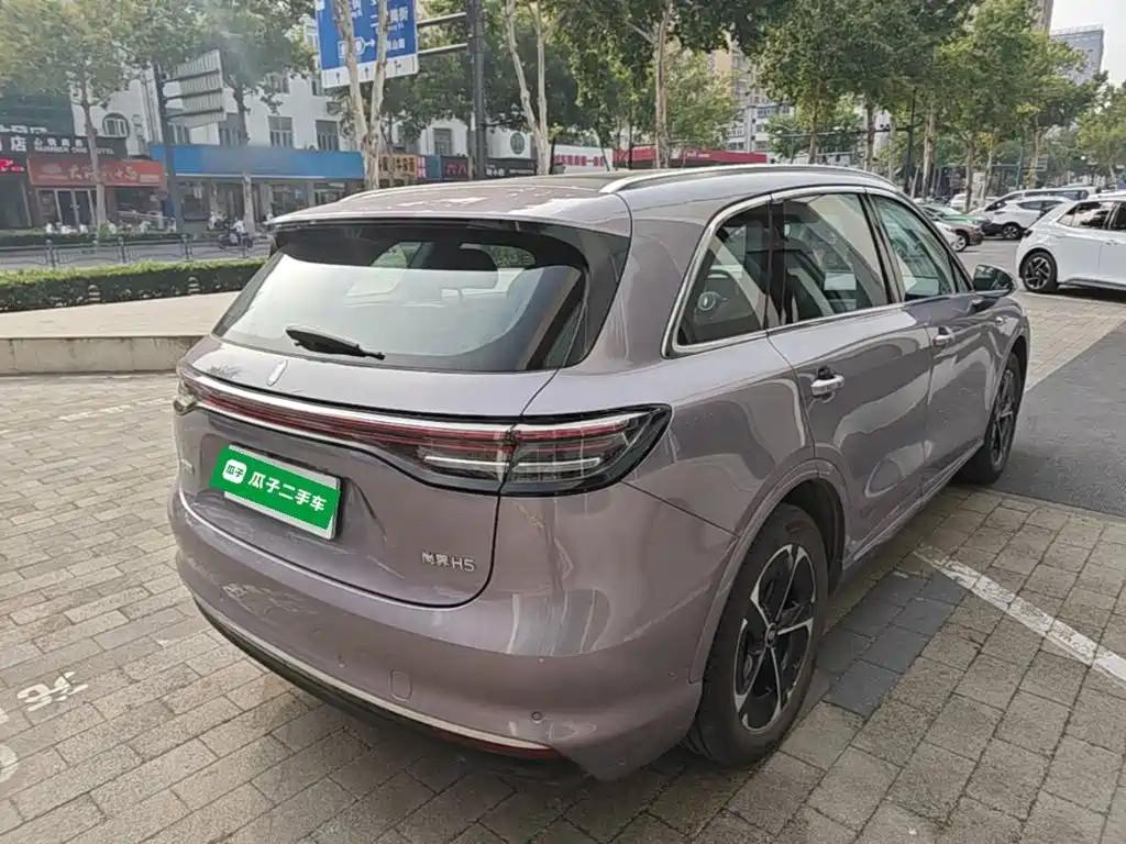 Shangjie Shangjie H5 — миниатюра 7