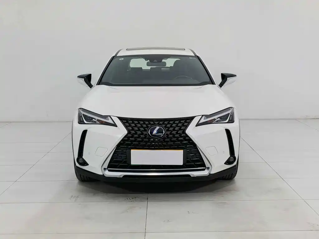 Lexus UX New Energy — миниатюра 3