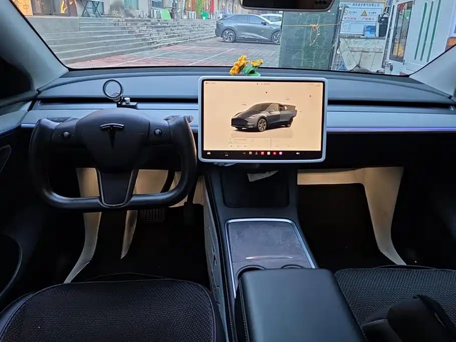 Tesla Model Y — миниатюра 12