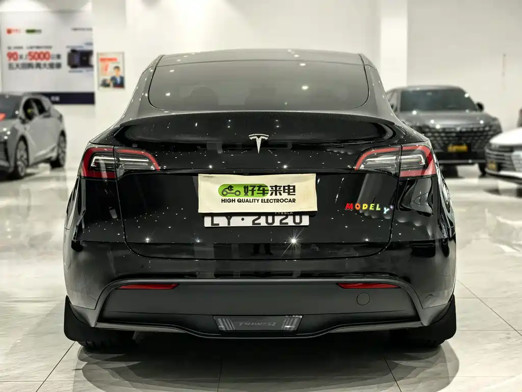 Tesla Model Y — миниатюра 5