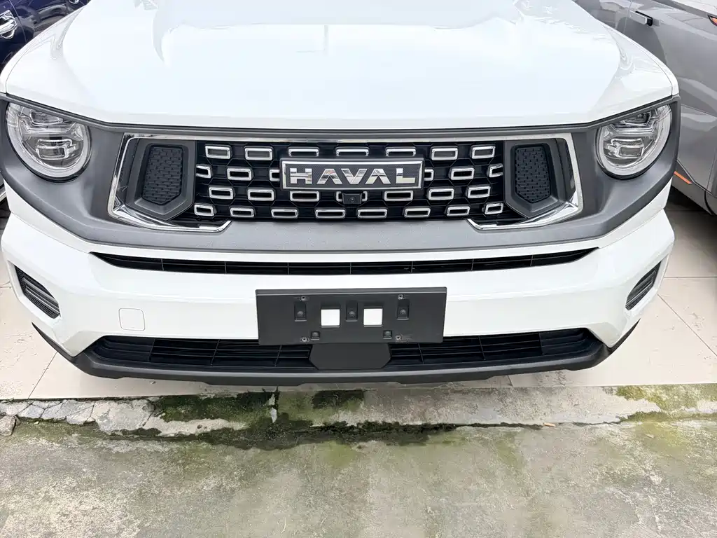 Haval Big Dog PLUS — миниатюра 2