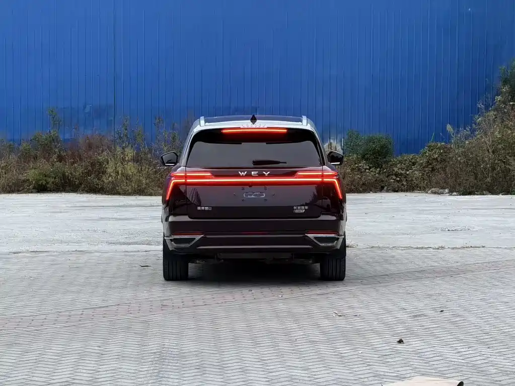 Wey Wey Lanshan — миниатюра 7