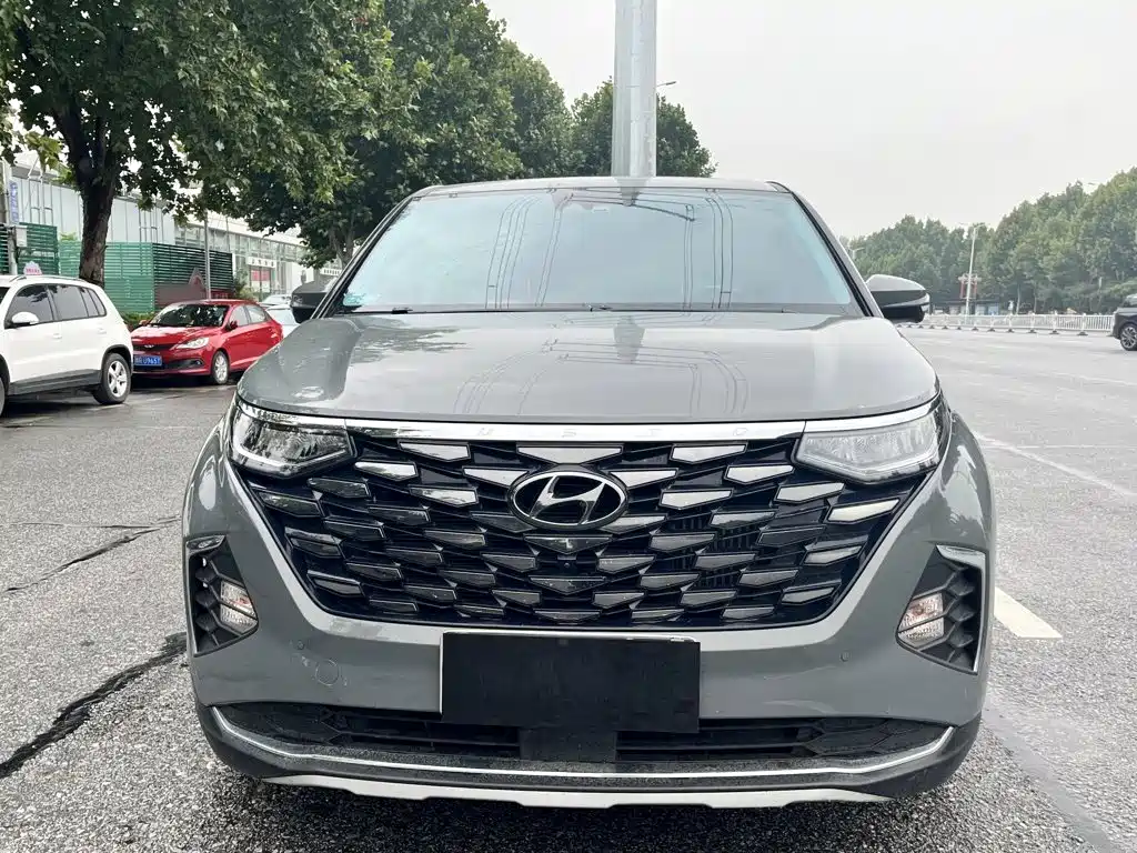 Hyundai Custo — миниатюра 3