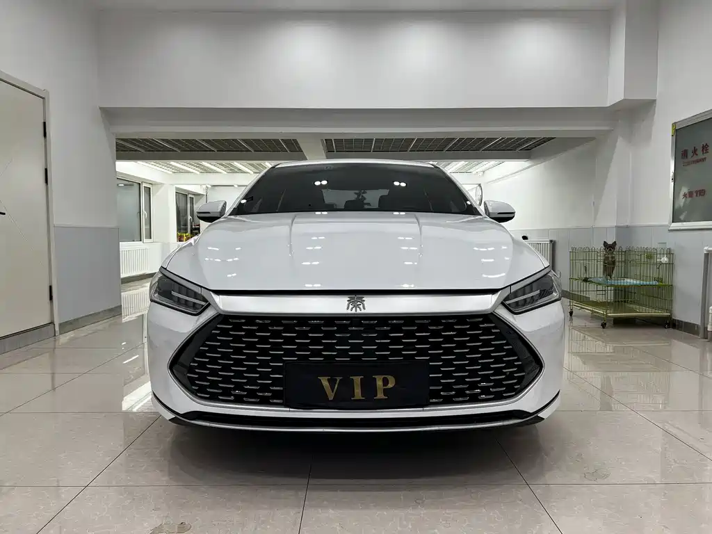 BYD Qin PLUS — миниатюра 2