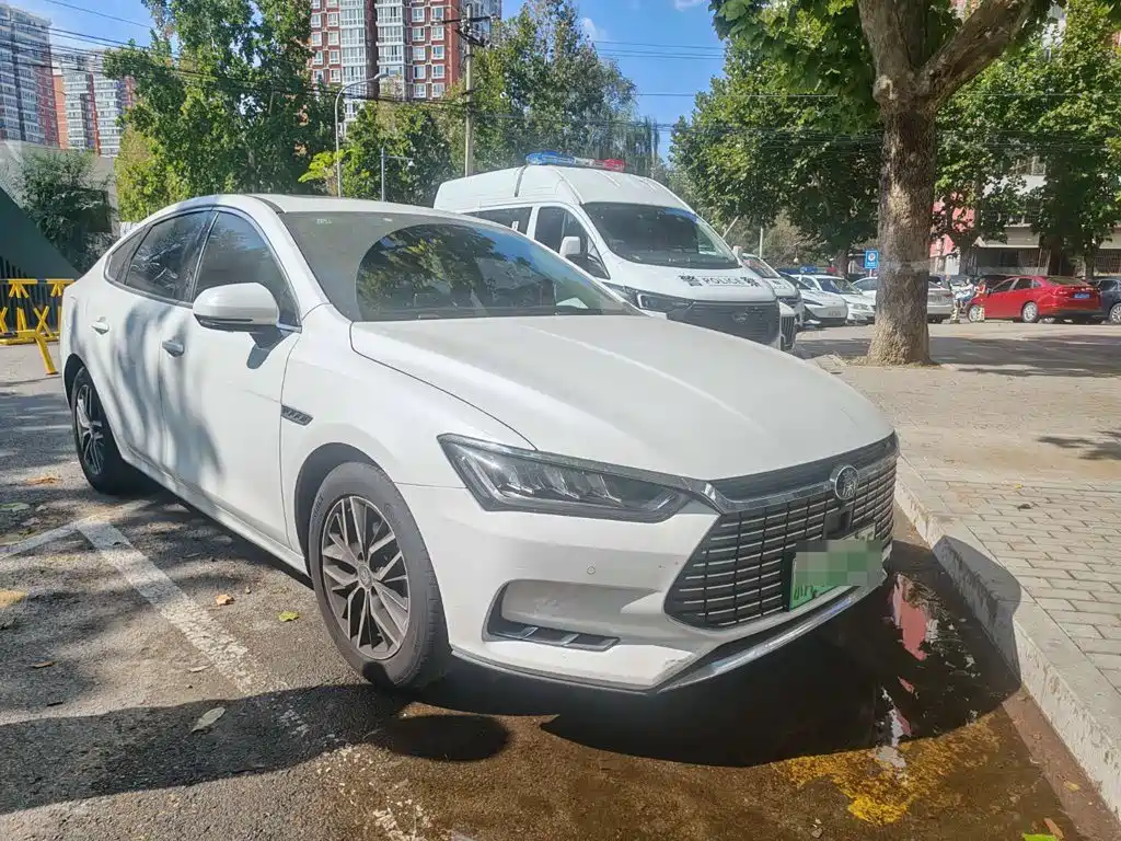 BYD Qin Pro NEV — миниатюра 3