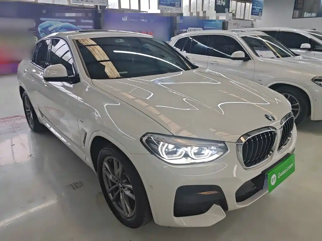 BMW X4 — миниатюра 4