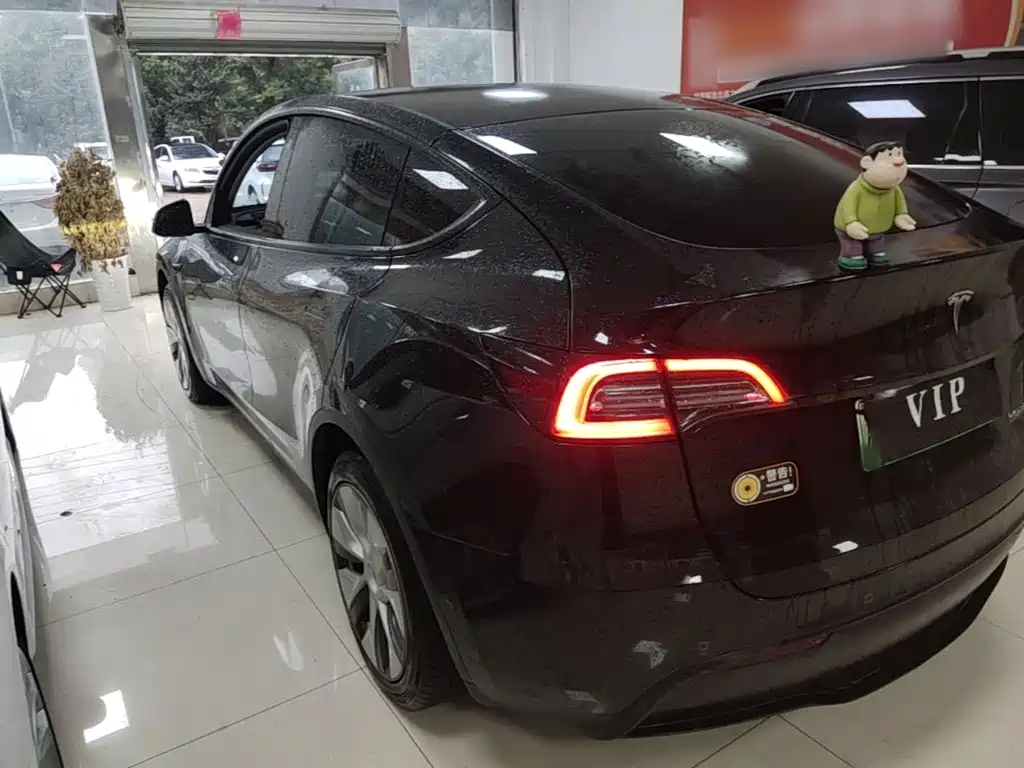Tesla Model Y — миниатюра 5