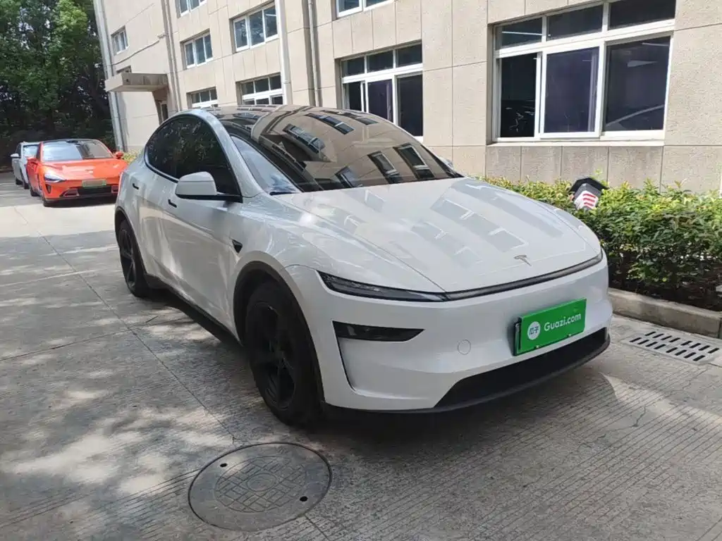 Tesla Model Y — миниатюра 4