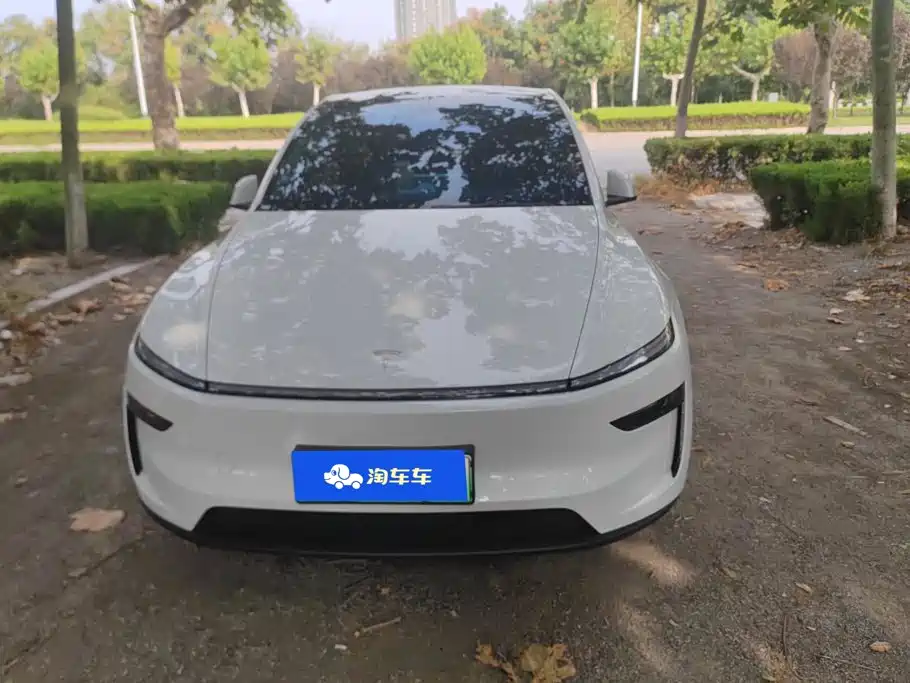 Tesla Model Y — миниатюра 2