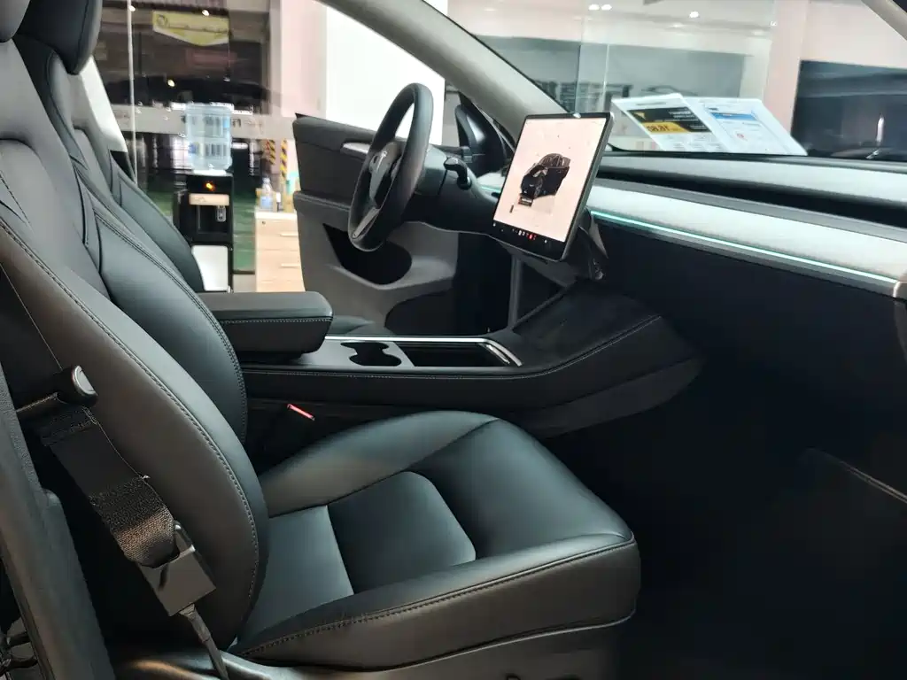 Tesla Model Y — миниатюра 9