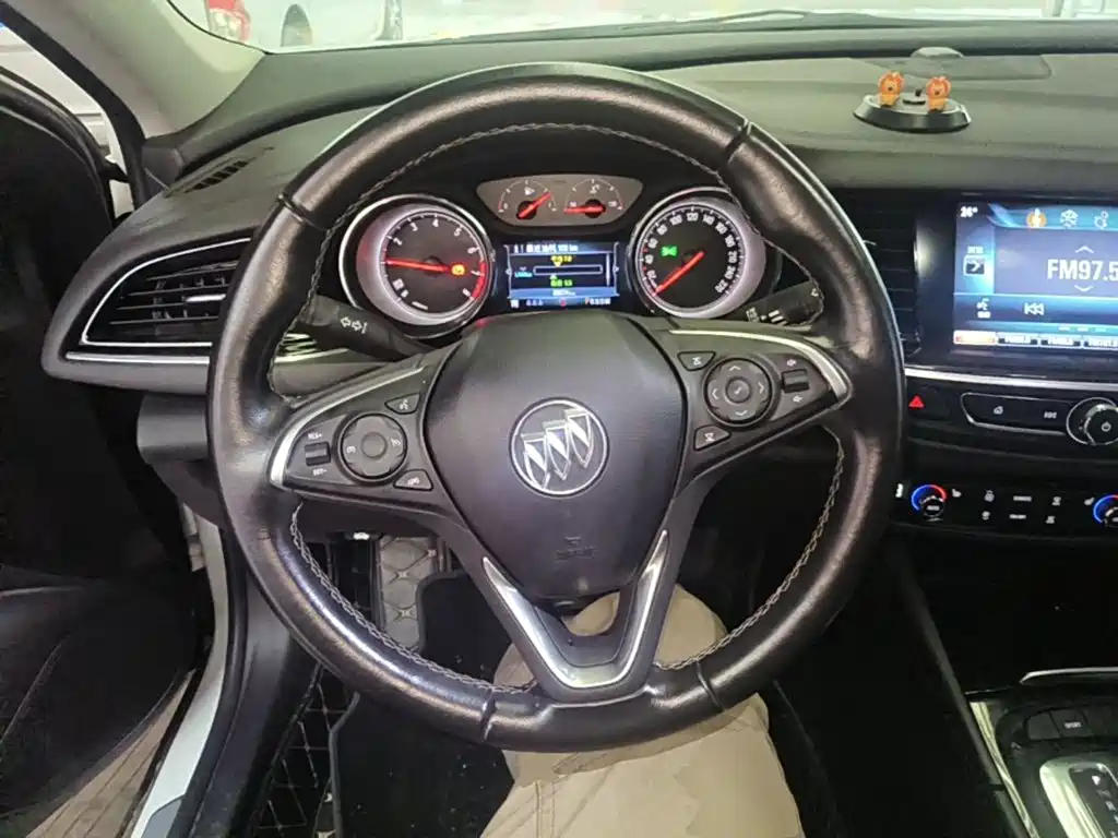 Buick Regal — миниатюра 11