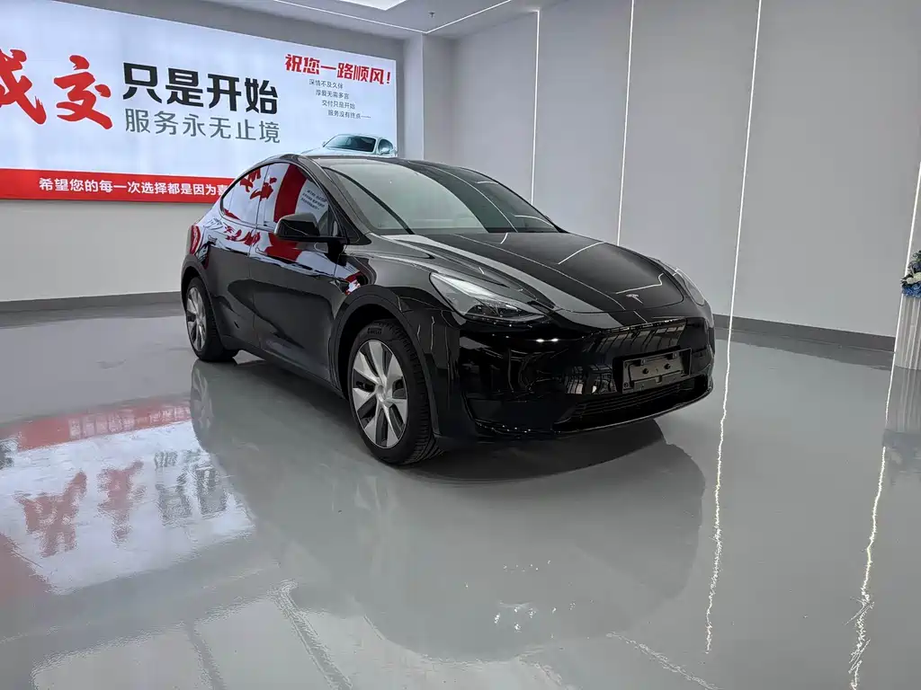 Tesla Model Y — миниатюра 3