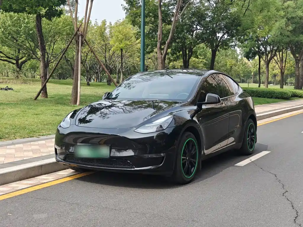 Tesla Model Y — миниатюра 2