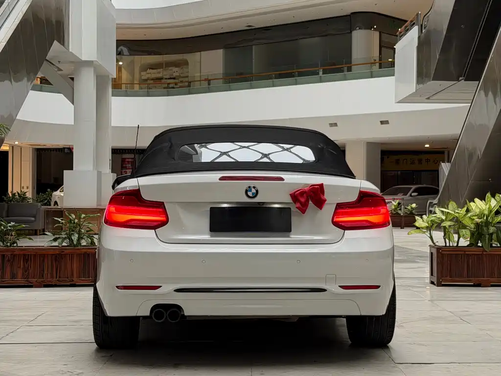 BMW 2 Series 2 2019 225i Sport