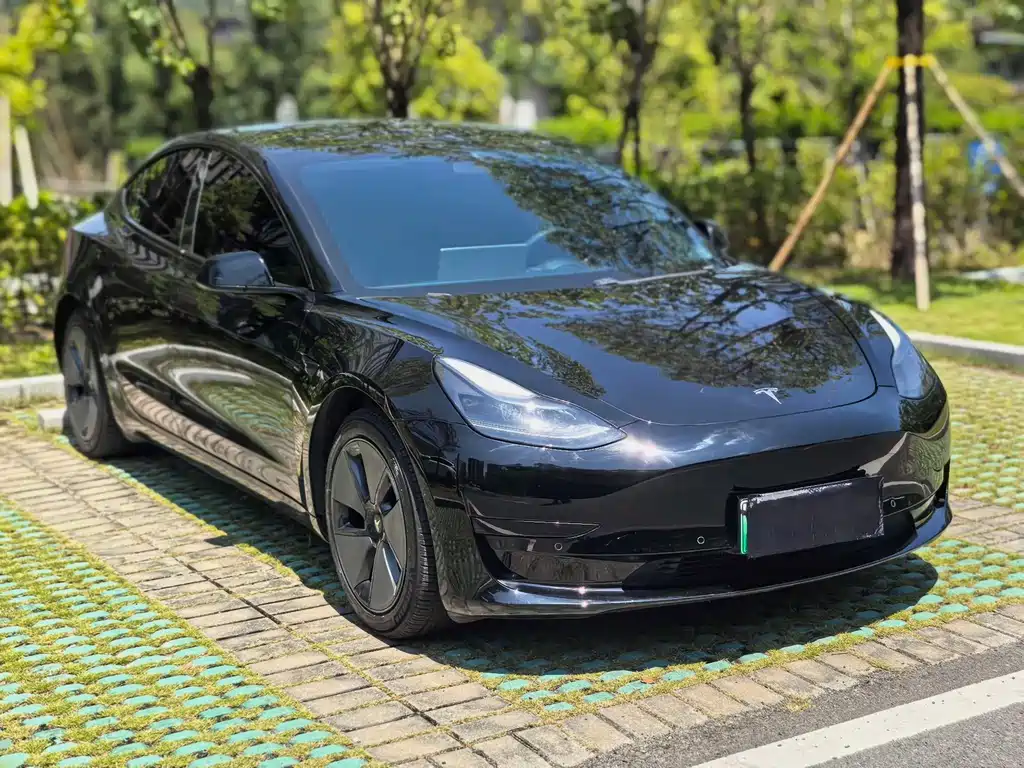 Tesla Model 3 — миниатюра 4