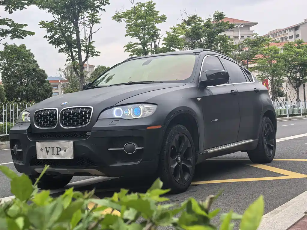 BMW X6 2010