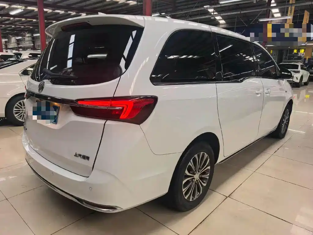 Buick GL8 — миниатюра 10