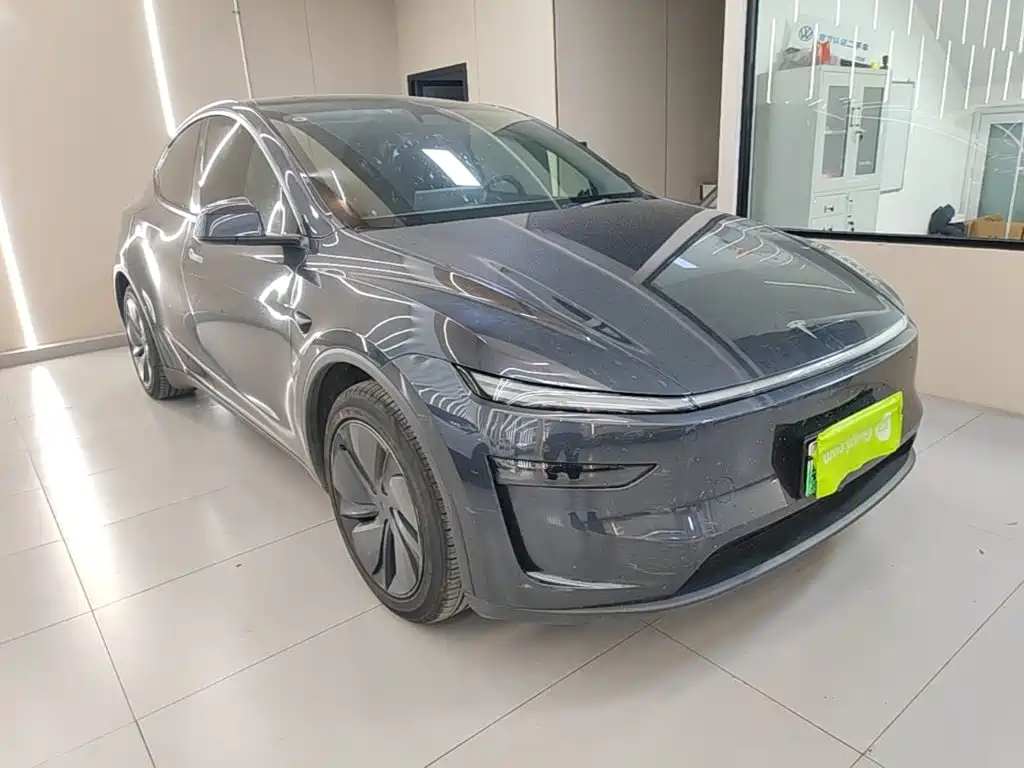 Tesla Model Y — миниатюра 4
