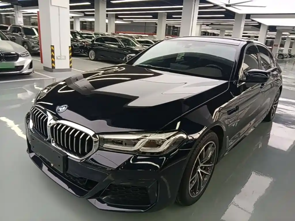 BMW 5 Series New Energy — миниатюра 2