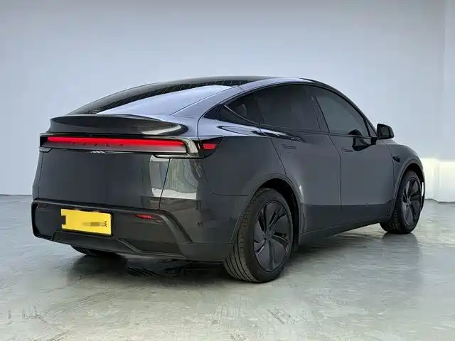 Tesla Model Y — миниатюра 6