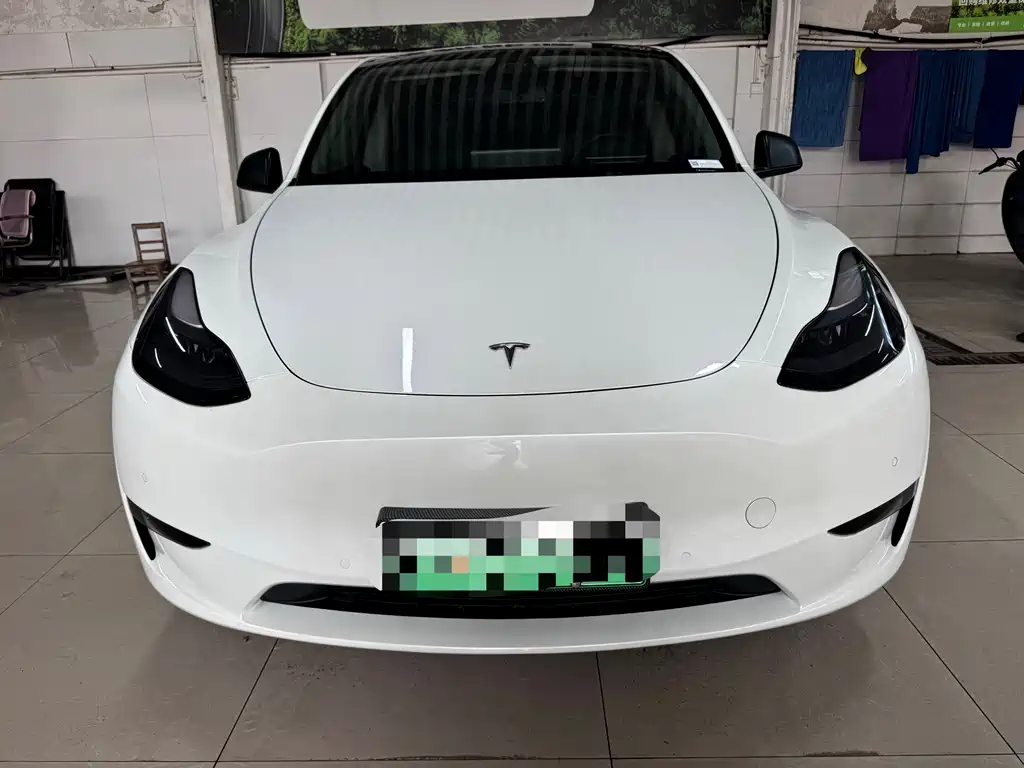 Tesla Model Y — миниатюра 2