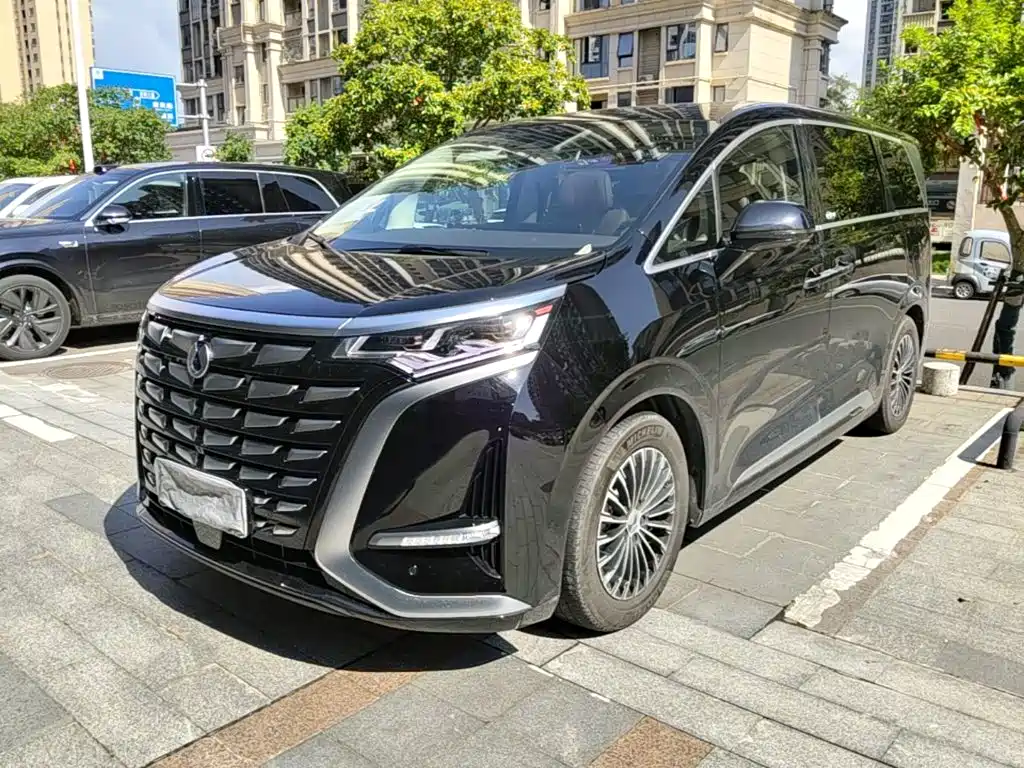 Denza Denza D9 — миниатюра 2