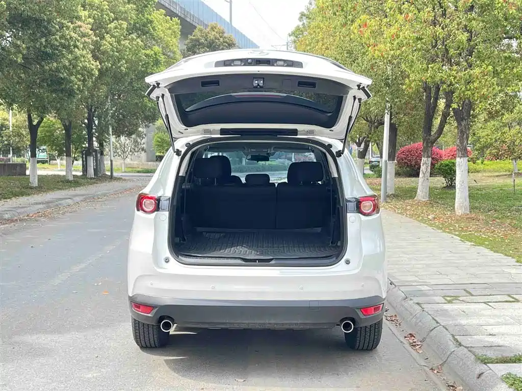 Mazda CX-8 2019 2.5L Luxury