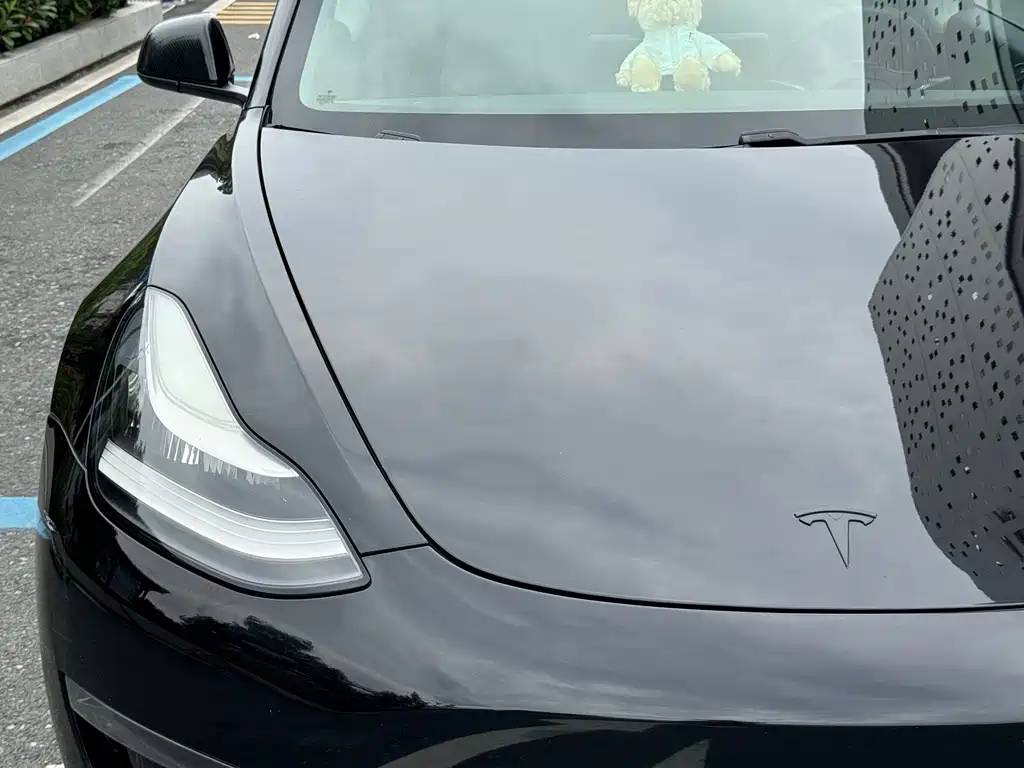 Tesla Model 3 — миниатюра 13