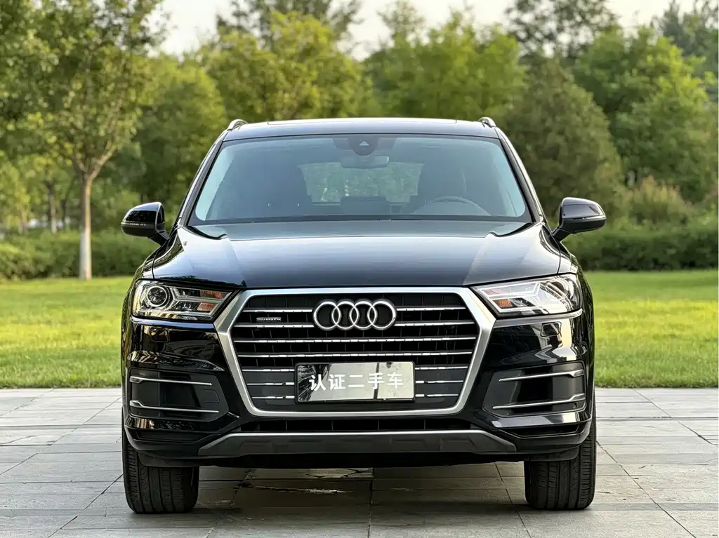 Audi Q7 — миниатюра 2