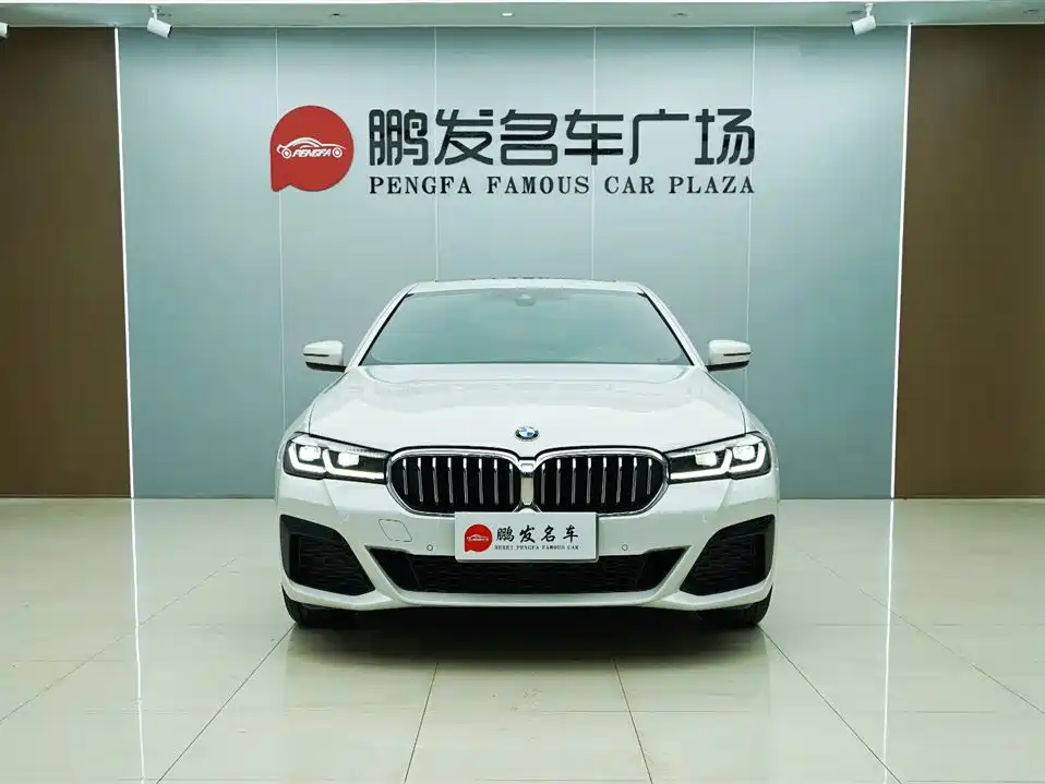 BMW 5 SERIES