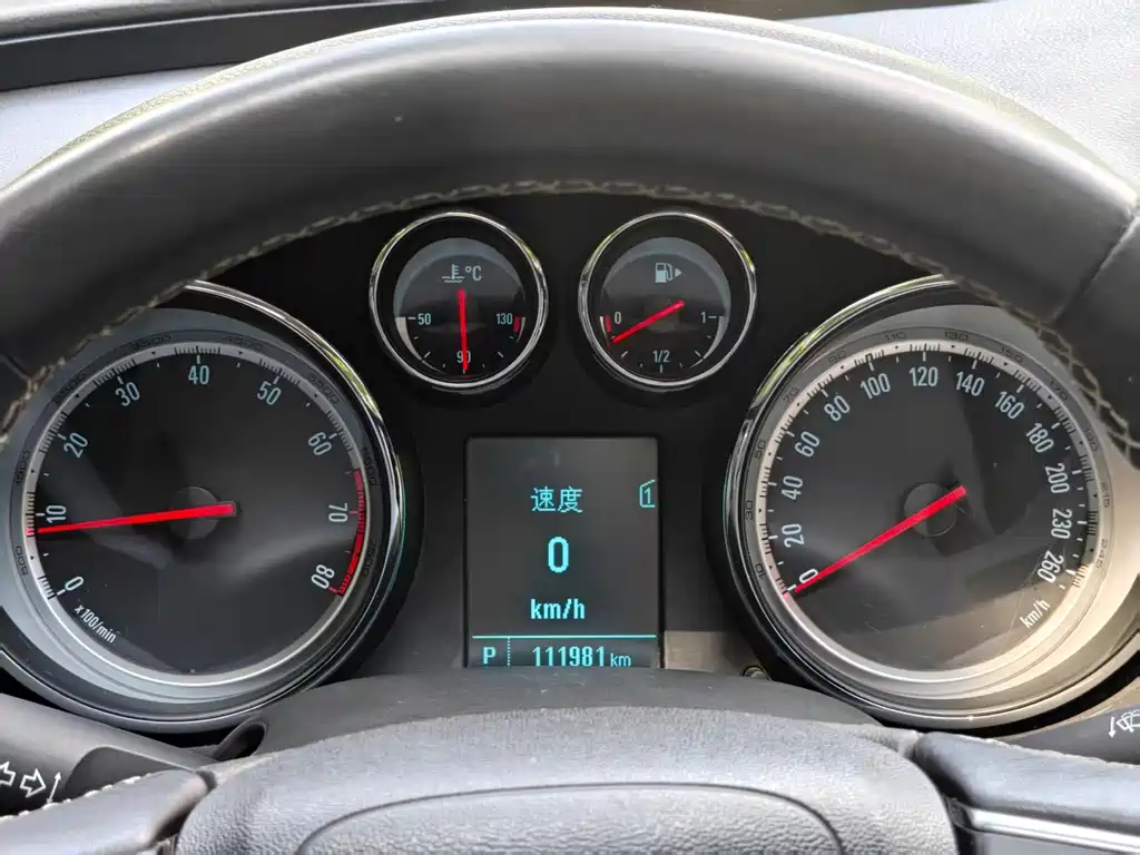 Buick Regal — миниатюра 18