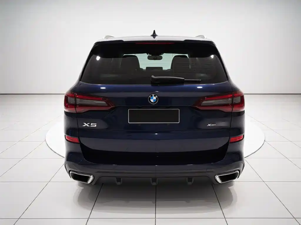 BMW X5 (Import) — миниатюра 5