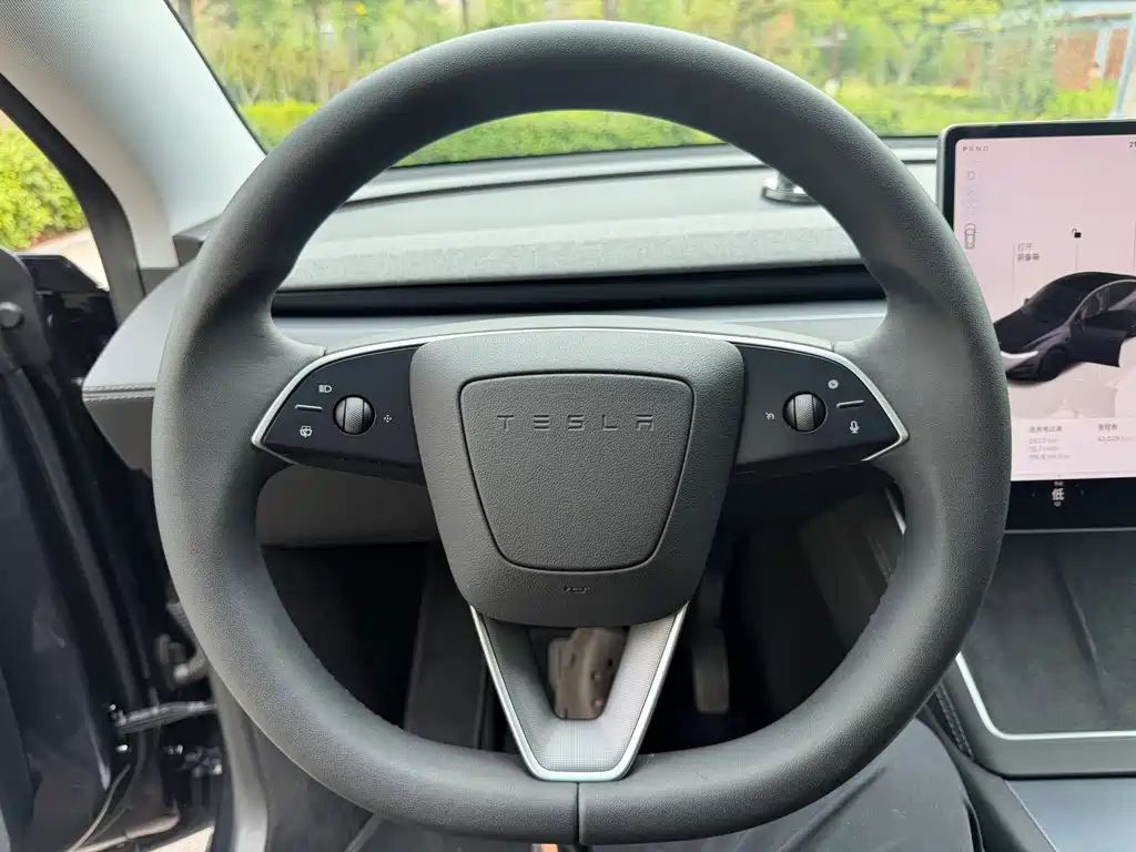 Tesla Model Y — миниатюра 12