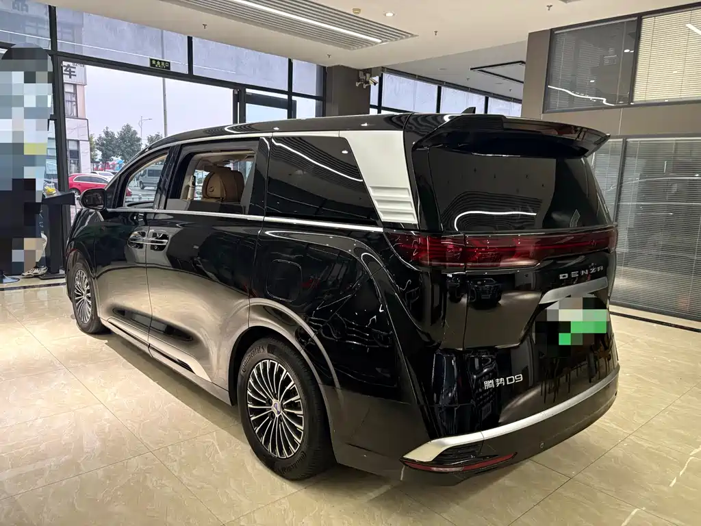 Denza Denza D9 — миниатюра 6